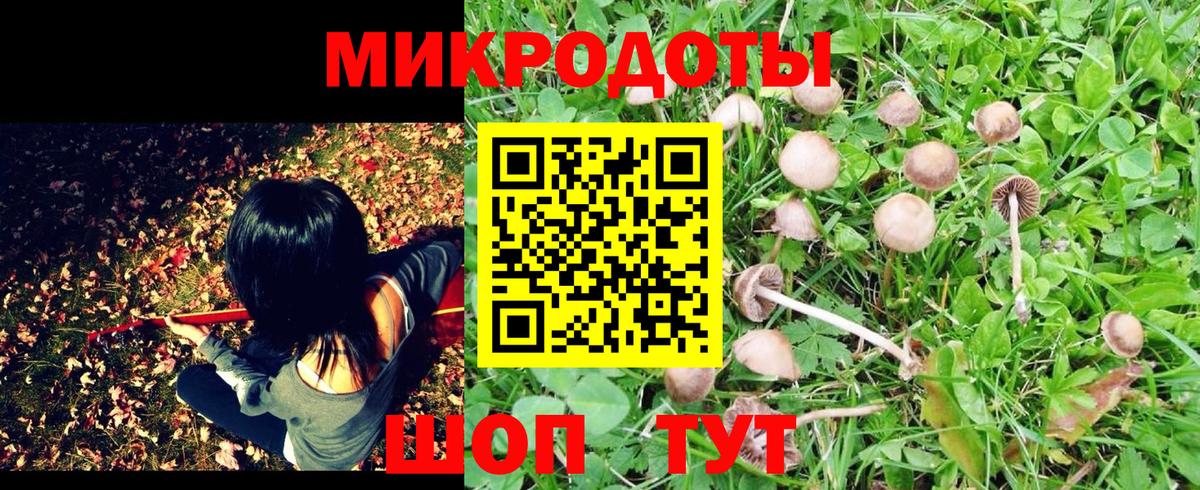 Галлюциногенные грибы мицелий Сафоново